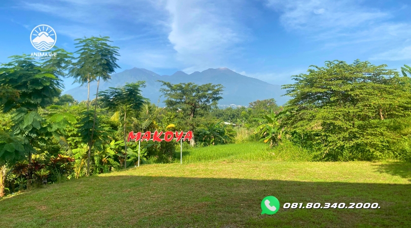 lapangan-outbound-makoya